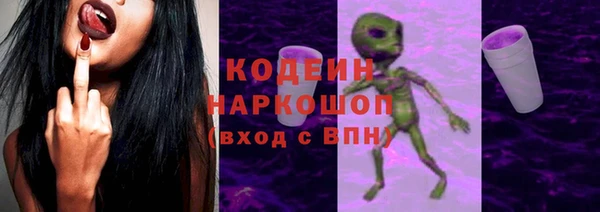 ГАЛЛЮЦИНОГЕННЫЕ ГРИБЫ Каменка