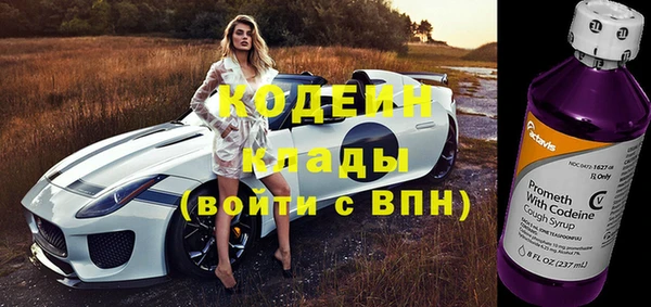 ГАЛЛЮЦИНОГЕННЫЕ ГРИБЫ Каменка