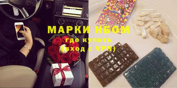 ГАЛЛЮЦИНОГЕННЫЕ ГРИБЫ Каменка