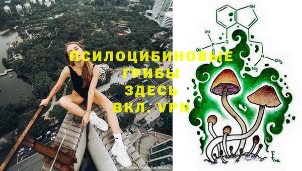 бутират Каменногорск