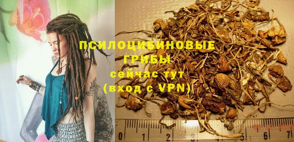 бутират Каменногорск